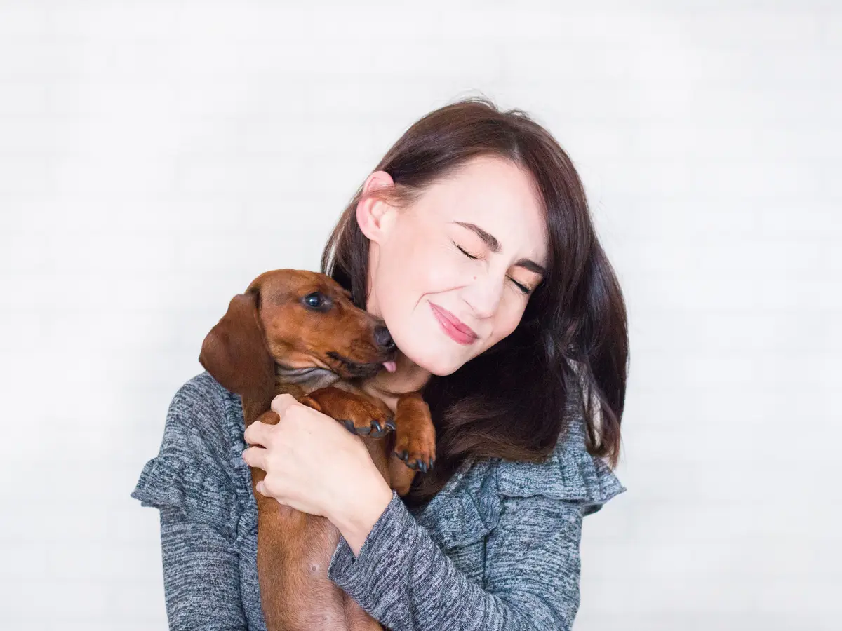 cara merawat anjing