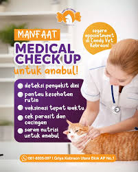 pemeriksaan rutin ke dokter hewan