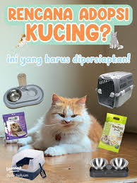 checklist sebelum adopsi hewan