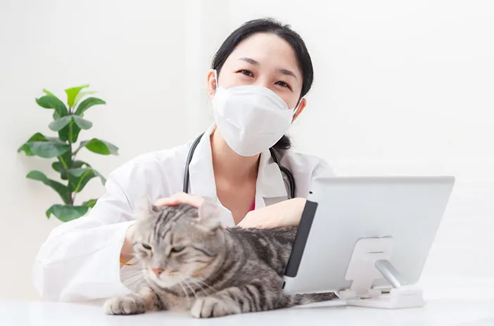 dokter hewan mendeteksi penyakit