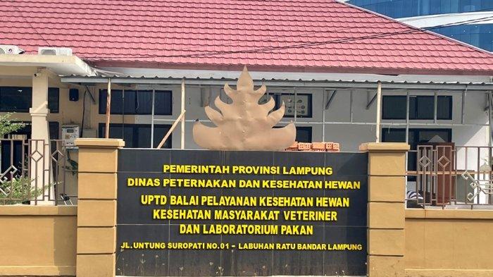 laboratorium veteriner