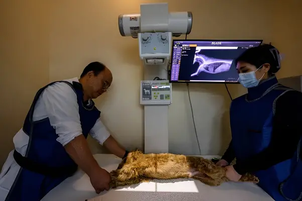 teknologi canggih dokter hewan