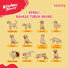 bahasa tubuh anjing