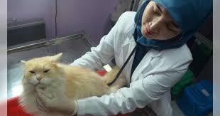 peran dokter hewan dalam mencegah penyakit zoonosis