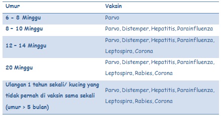 vaksin wajib untuk kucing dan anjing