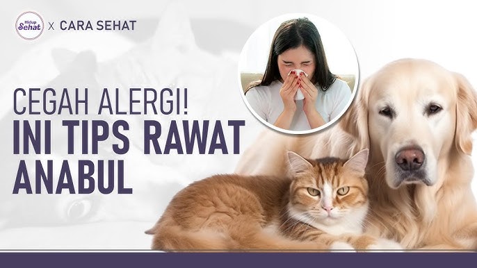alergi hewan peliharaan